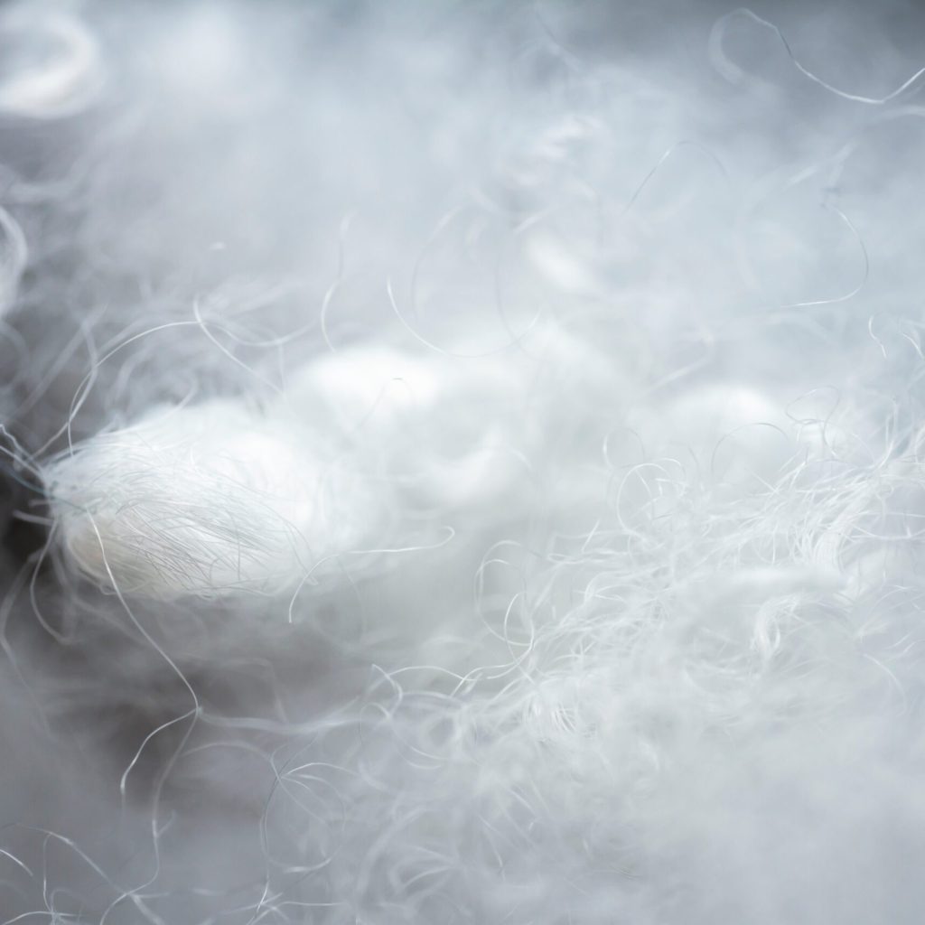 Extreme macro of polyester stable fiber Extreme macro of polyester stable fiber. Selective focus, shallow depth of field.